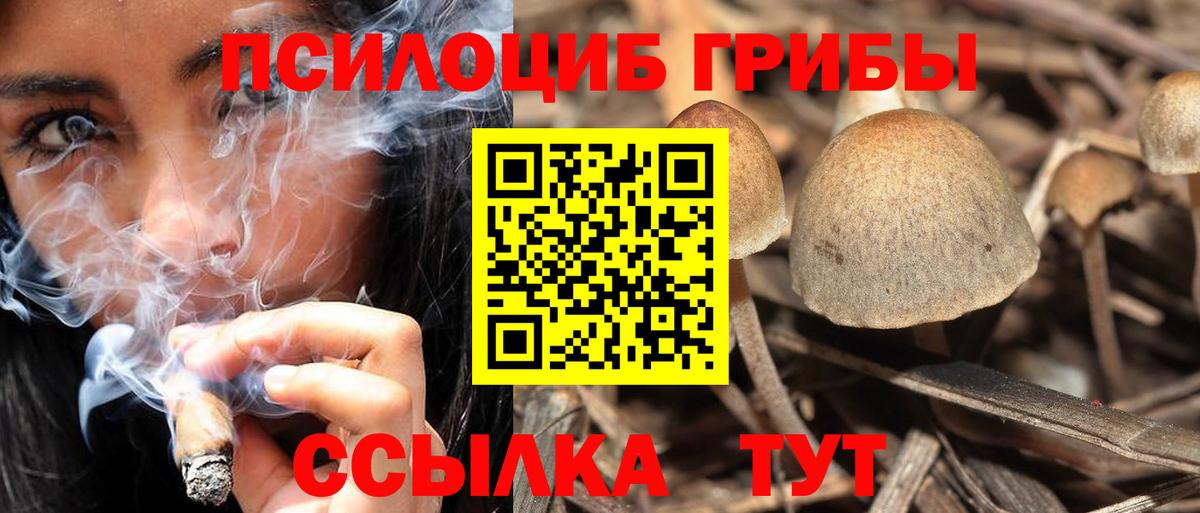 Псилоцибиновые грибы Magic Shrooms  купить  цена  Москва  Вход с VPN 